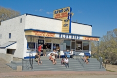 BryanBosleyPhotos-BlueBird-1425